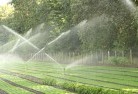 Codrington NSWlandscaping-water-management-and-drainage-17.jpg; ?>